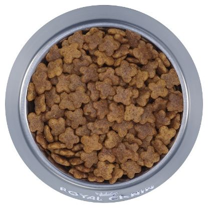 Poza cu Royal canin Mini adult la kg