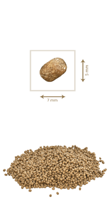 Poza cu PETKULT Cat Easy Digestion  Kitten 34/22 Cu miel și pui LA KG