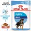 Poza cu Royal Canin Maxi Puppy hrana umeda caine junior (in sos) 140 g